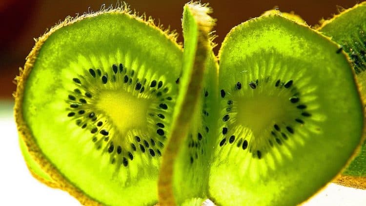 curiosidades del kiwi