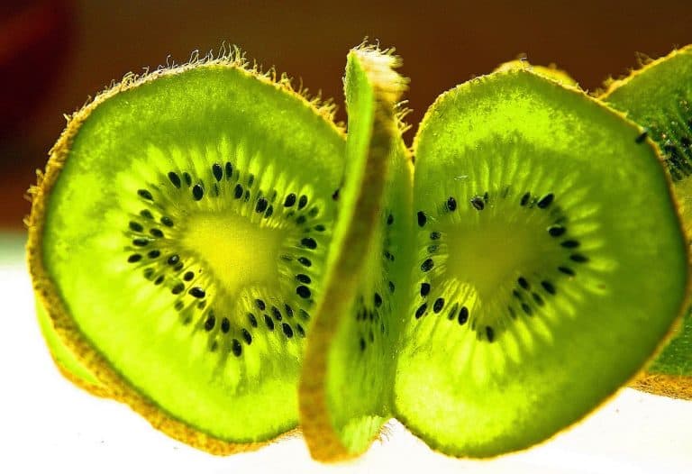 curiosidades del kiwi