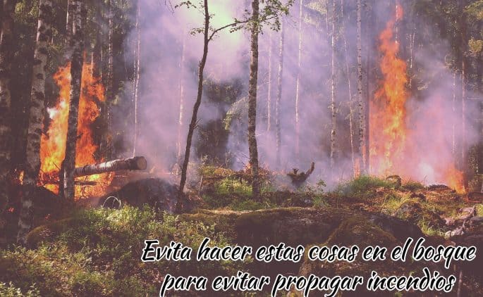 Evita hacer estas cosas en el bosque para evitar propagar incendios