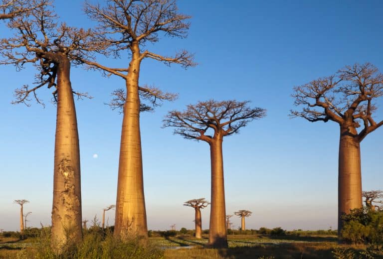 Descubre Destinos Secretos para Tu Próxima Aventura Inolvidable