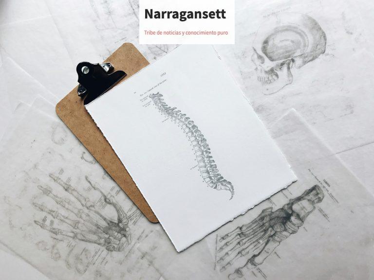 brown and black clipboard with white spinal cord print manual