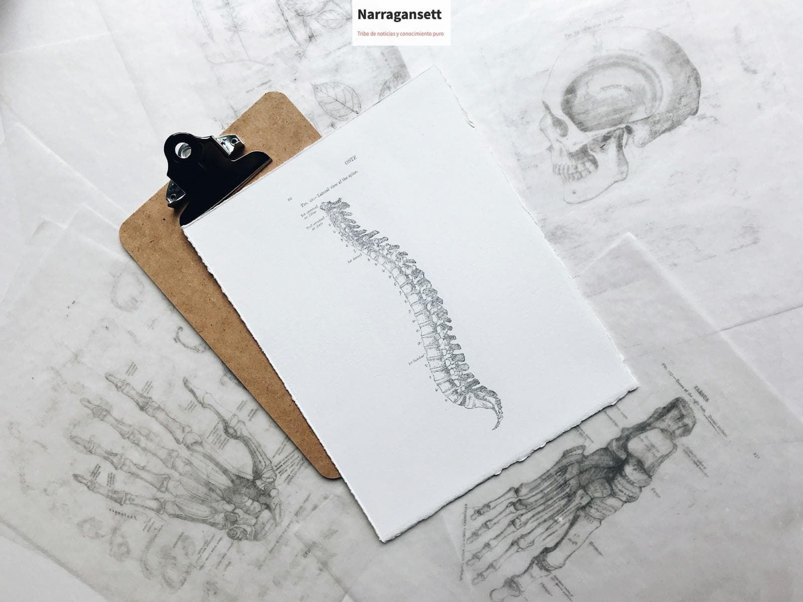 brown and black clipboard with white spinal cord print manual