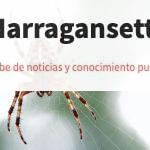 brown and black spider close-up photography