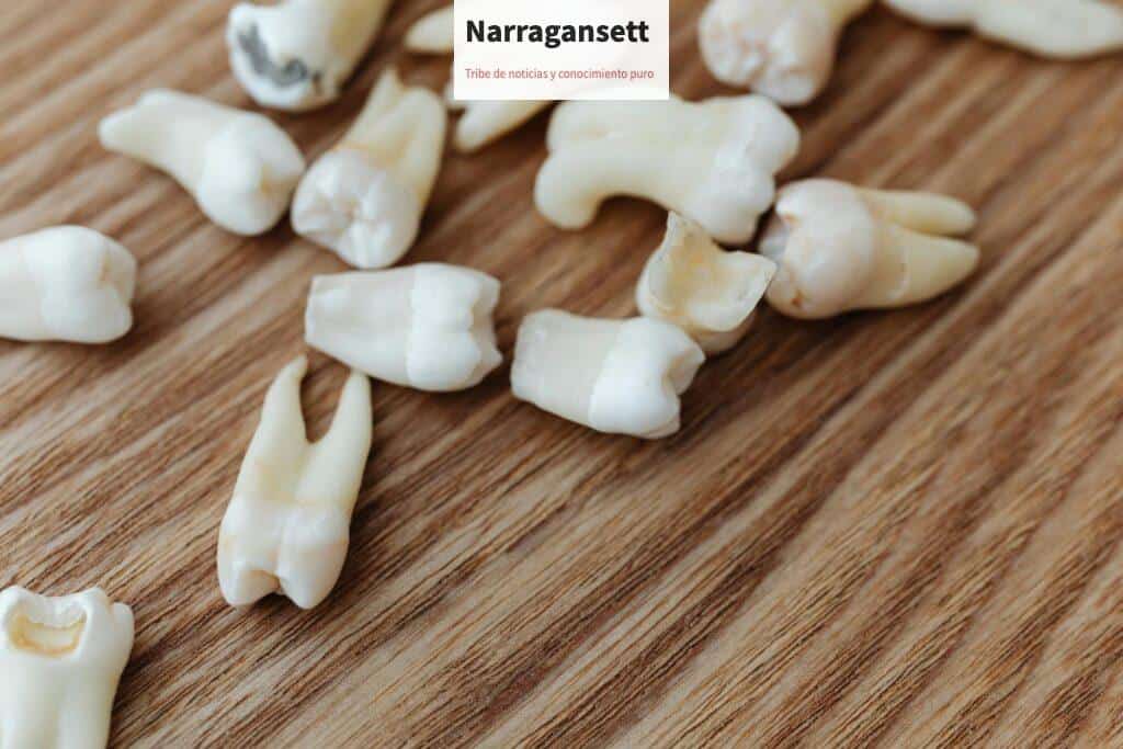 A detailed close-up of multiple extracted human teeth arranged on a wooden background surface.