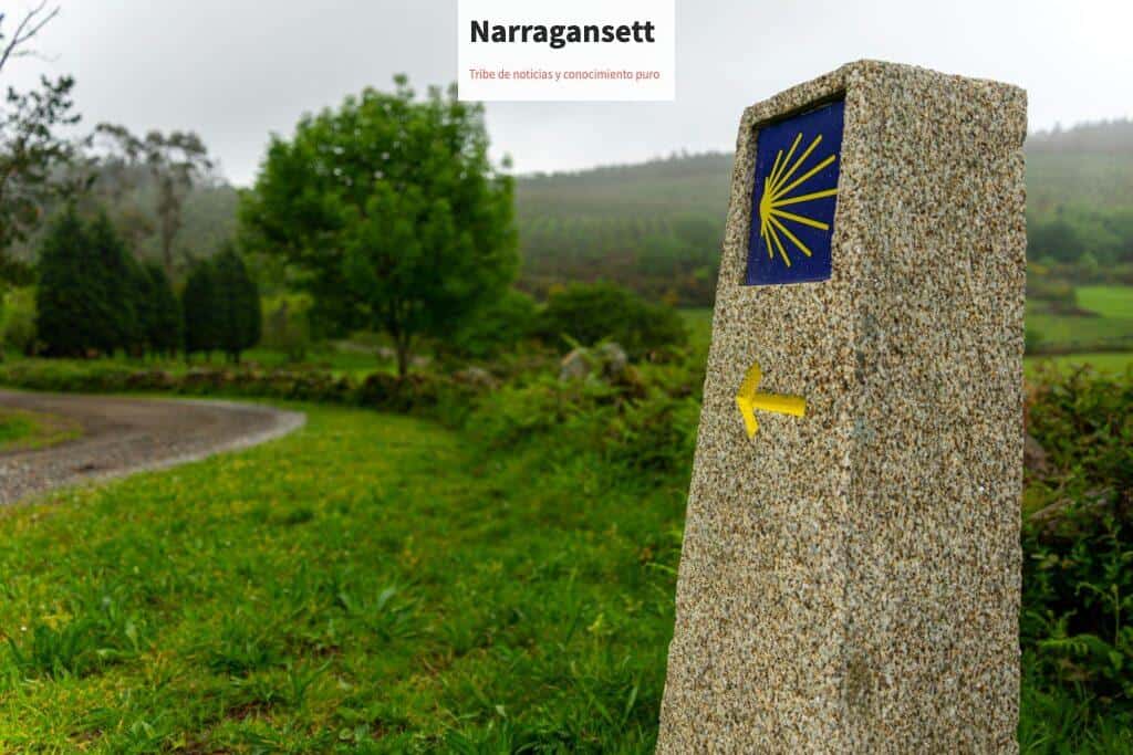 Camino de Santiago Francés