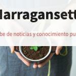 Decoración ecológica, recetas saludables y técnicas para reducir el estrés cotidiano