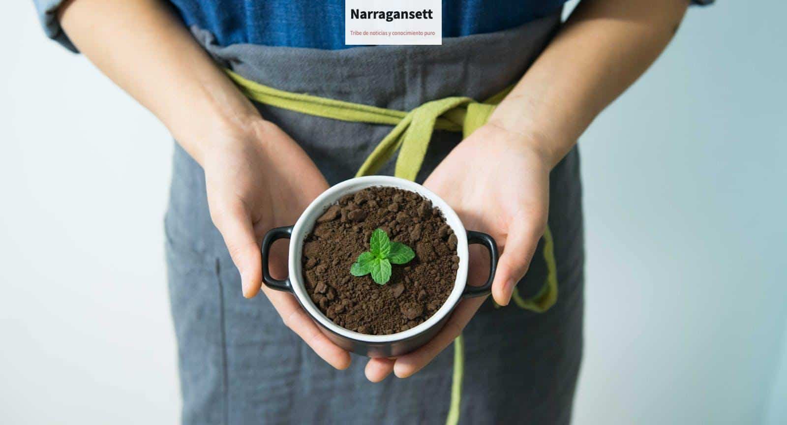 Decoración ecológica, recetas saludables y técnicas para reducir el estrés cotidiano