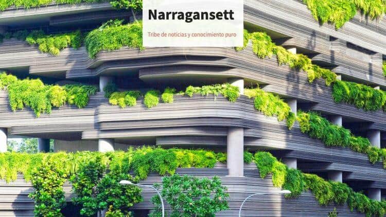 gray concrete building covered trees