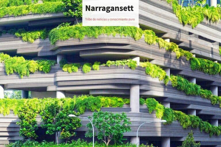 gray concrete building covered trees