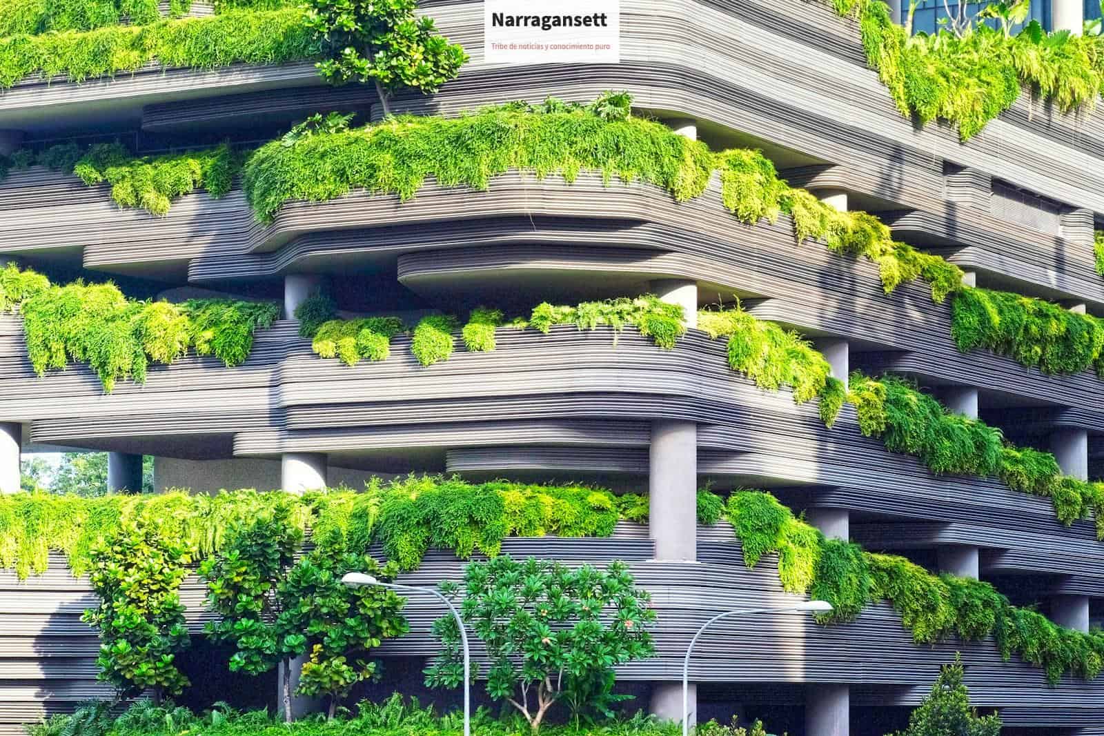 gray concrete building covered trees