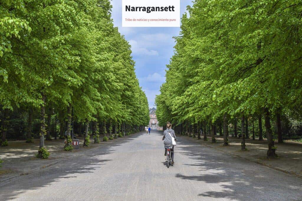 naturaleza parque