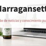 Venta online de CBD con enfoque en calidad y compra segura